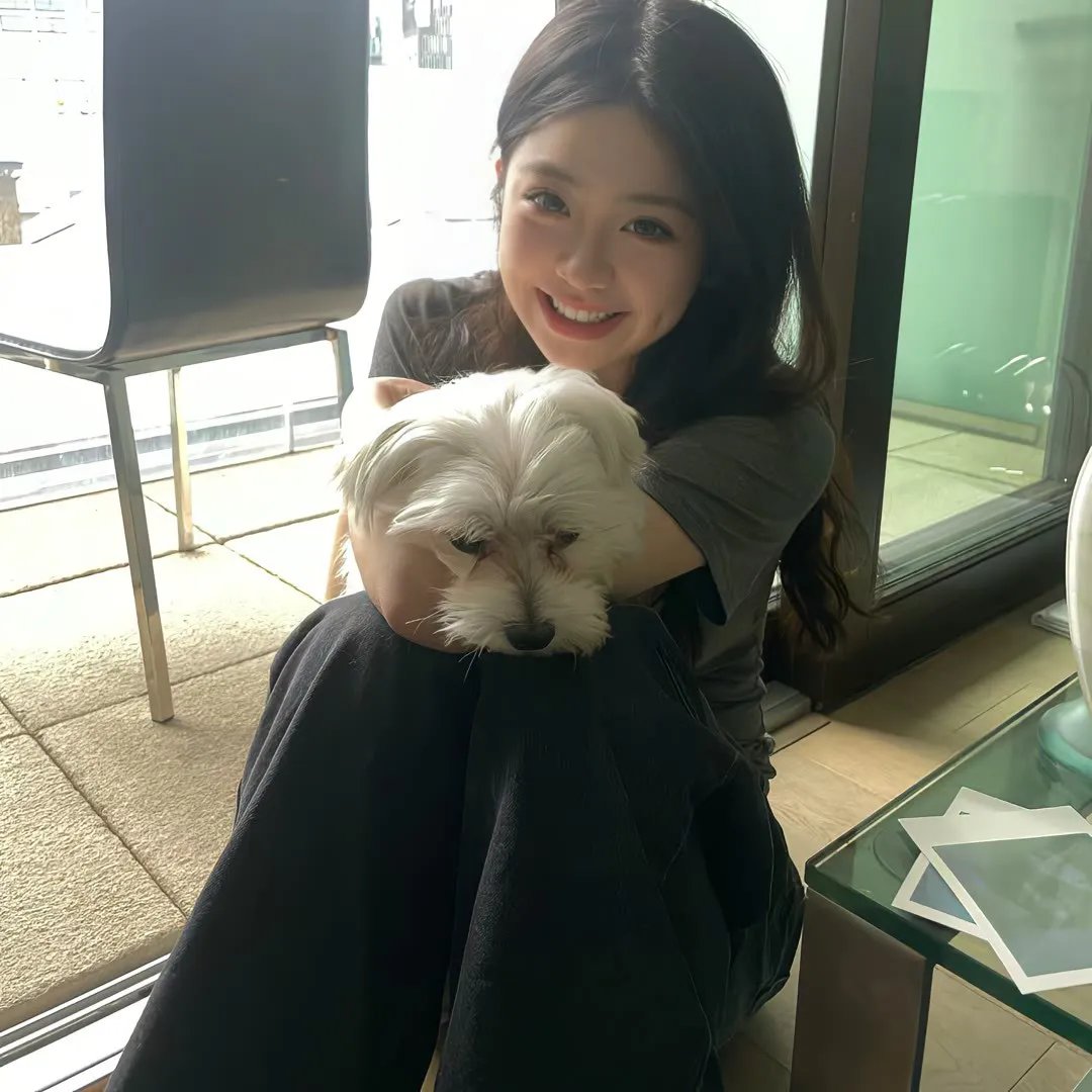 大获拳胜